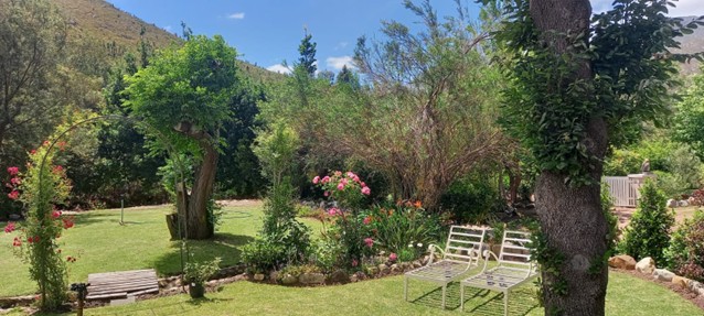 5 Bedroom Property for Sale in Greyton Western Cape